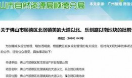 佛山最新爆料,揭秘城市变革背后的故事